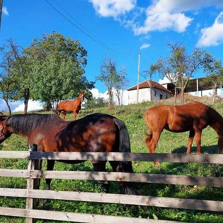 Poljoprivredno Turisticko Domacinstvo Deguric Lägenhet Valjevo Exteriör bild