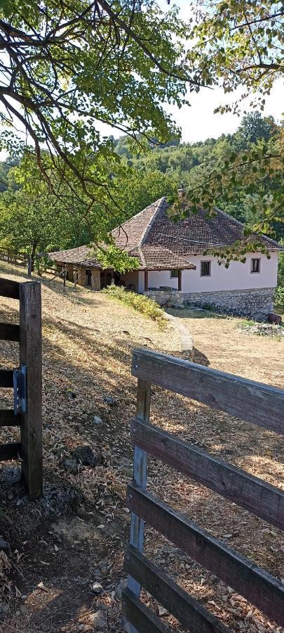 Poljoprivredno Turisticko Domacinstvo Deguric Lägenhet Valjevo Exteriör bild