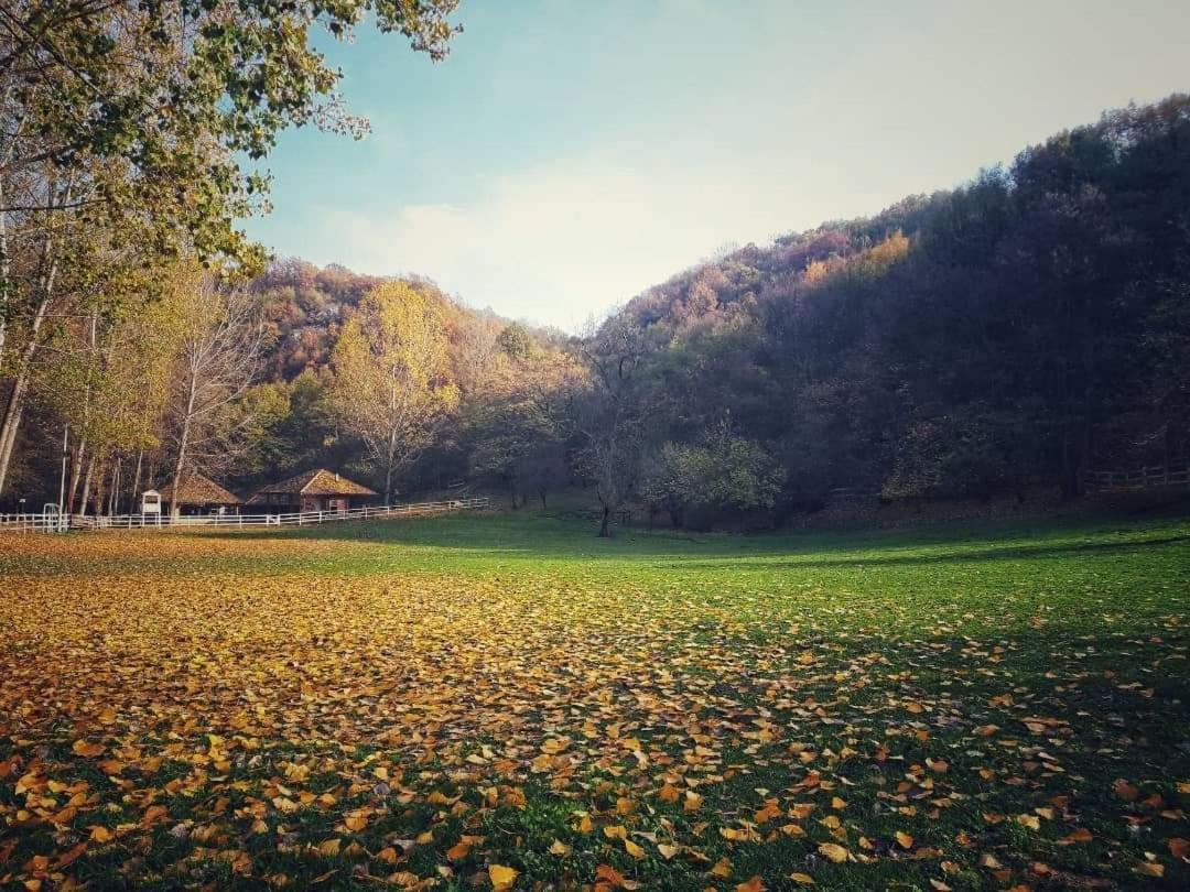 Poljoprivredno Turisticko Domacinstvo Deguric Lägenhet Valjevo Exteriör bild