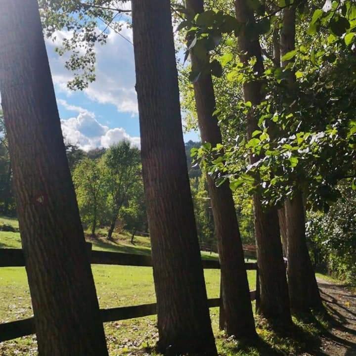 Poljoprivredno Turisticko Domacinstvo Deguric Lägenhet Valjevo Exteriör bild