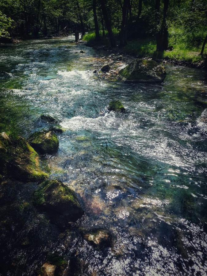 Poljoprivredno Turisticko Domacinstvo Deguric Lägenhet Valjevo Exteriör bild