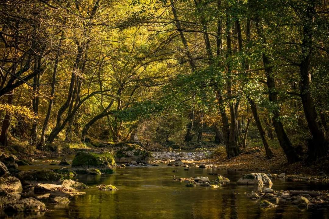 Poljoprivredno Turisticko Domacinstvo Deguric Lägenhet Valjevo Exteriör bild