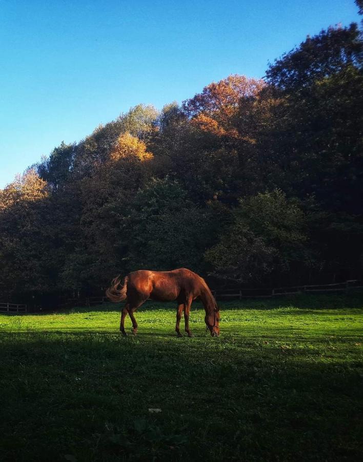 Poljoprivredno Turisticko Domacinstvo Deguric Lägenhet Valjevo Exteriör bild