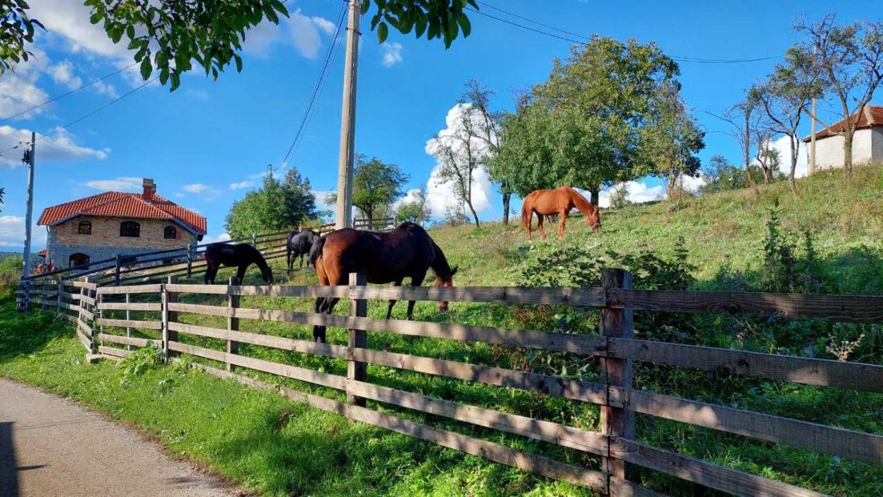 Poljoprivredno Turisticko Domacinstvo Deguric Lägenhet Valjevo Exteriör bild