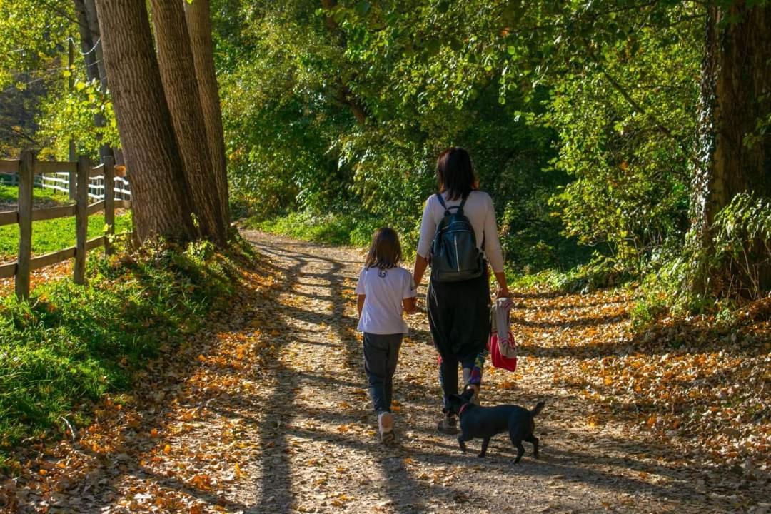 Poljoprivredno Turisticko Domacinstvo Deguric Lägenhet Valjevo Exteriör bild