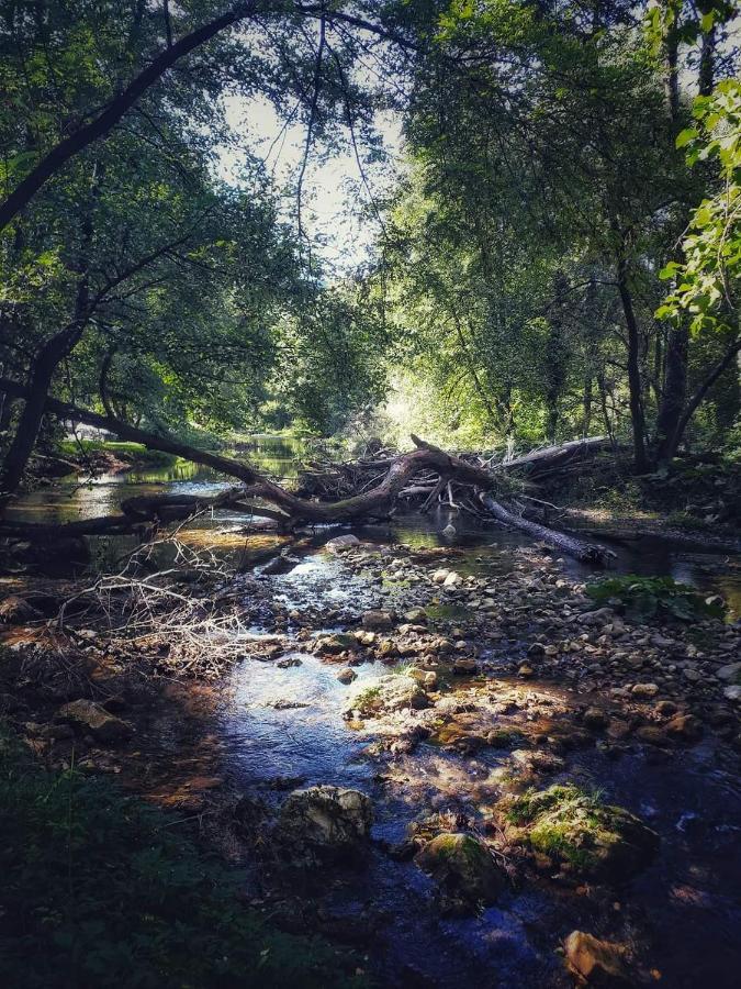 Poljoprivredno Turisticko Domacinstvo Deguric Lägenhet Valjevo Exteriör bild